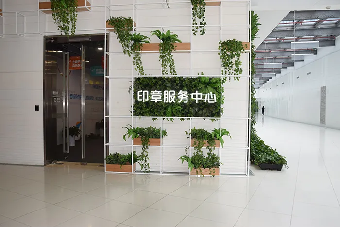 六宝典大全资料