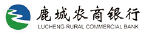 六宝典大全资料