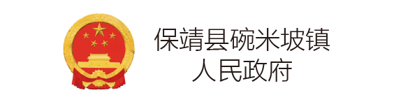 六宝典大全资料