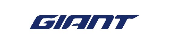 六宝典大全资料